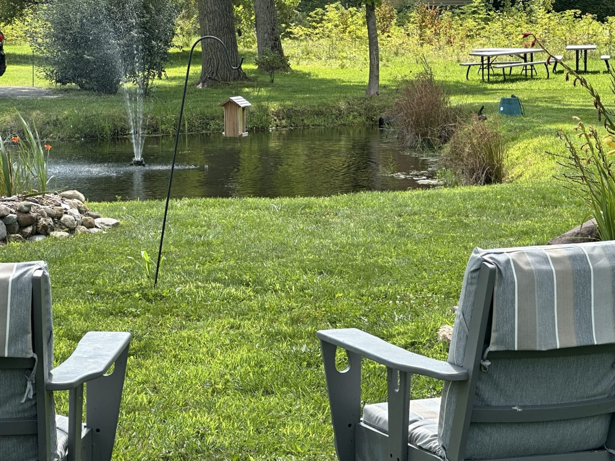 Green natural surroundings at Hidden Ponds RV Resort in South Haven, Michigan